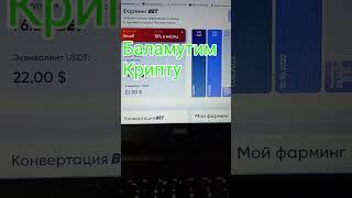 Командный проект Биткоре Нетворк !Рубрика инвестиции на диване!