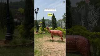 Biodiversity Park of USTM #biologicaldiversity #ustm #park #biodiversitypark #green #animals #birds