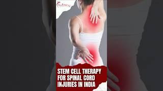 Is INDIA the Future of Stem Cell Therapy for Spinal Cord Injuries?