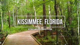 Shingle Creek Regional Park - Kissimmee, Florida - Historic Steffee Homestead