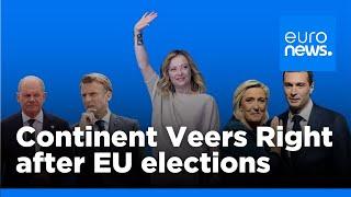 EU elections: Meet the winners and losers in Brussels and across Europe | euronews 