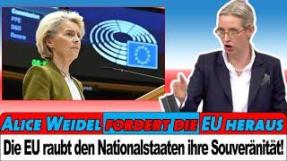 Alice Weidel fordert die EU heraus: "Wir machen Politik für Deutschland, nicht für Brüssel!"