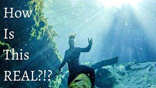 Top 5 BEST Florida Springs For Freediving & Exploring