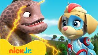 Щенячий патруль | Мегащенки против гигантских животных! | Nick Jr. Cyrillic