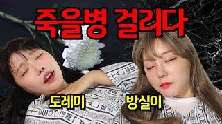 방실이 도레미 죽을병에 걸리다?..(ft.병에 걸린 이유)