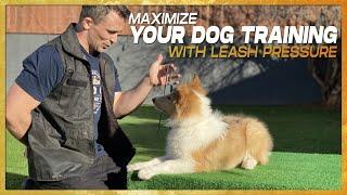 How to use a Leash to Stop 90% of Behavior Problems. Leash Pressure Training!