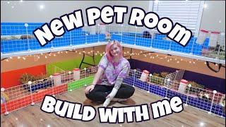 I MOVED | NEW PET ROOM BUILD ️ | VLOG |