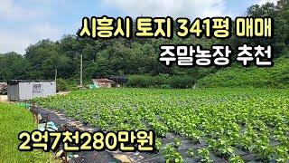 시흥시 장현지구 인접 토지(전) 341평 매매 주말농장 추천