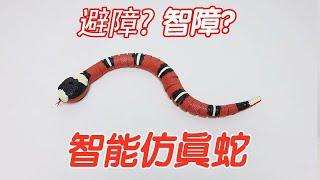 智能仿真蛇：自動避障！自動智障？【小海來了fly】
