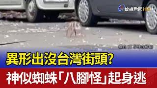 異形出沒台灣街頭？ 神似蜘蛛「八腳怪」起身逃