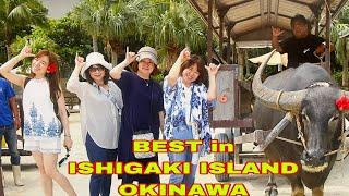 BEST in ISHIGAKI OKINAWA, Don’t miss it!