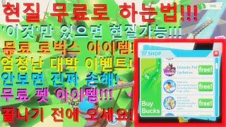 입양하세요 기프트카드 이벤트 펫 아이템 무료로 얻는 방법!무료 로벅스!!! 대박 이벤트공개!!(로블록스,입양하세요)