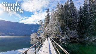 25 Minutes Exploring THE MOST BEAUTIFUL Winter Lake! | Lake Eibsee Virtual Hike Germany