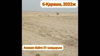 6-Қараша 2022ж Панфилов ауданы, Аламан бәйге 31км, 1-Аділбек, Қордай 2-Мурат, Қордай