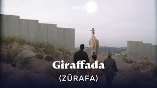 Giraffada (Zürafa) | Fragman