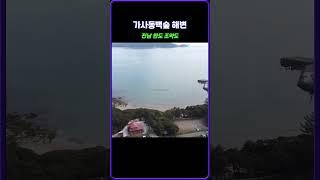 [드론] 가사동백숲 해변 - 전남 완도 조약도