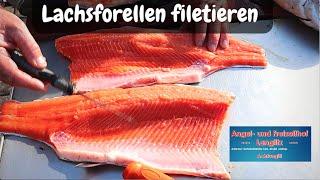 Forelle filetieren Lachsforelle Fisch filetieren Angelhof Langlitz Forellenangeln