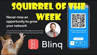 Blinq - your digital business card solutions - Squirrel of the Week