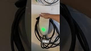 Tesla Ownership: Regrets?  Charging Costs & Tips! ️