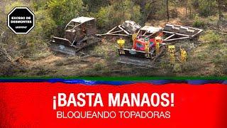 Bloqueamos topadoras en un enorme desmonte de los dueños de Manaos