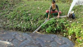 Fishing Video - The Girl Cleverly Used The Pump To Suck Water In The Lake, Catch A Lot Of Big Fish