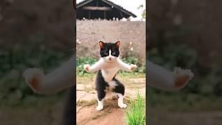 Cute cat dancing #youtube #cat #youtubeshorts #funny #aicat #catlovers