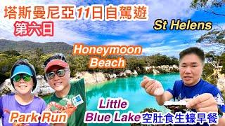 254. St Helens Park Run | 澳洲塔斯曼尼亞第6日自駕遊 | 環島 | Tassie | Honeymoon Beach | Launceston | 繁體字幕