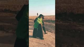 Arbaeen Walk 2024 | Bas Moula Bulalen | Ali Shanawar #arbaeen2024 #karbala #imamhussain #iraqicity