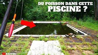 Y a-t-il du POISSON dans cette PISCINE ABANDONNÉE ? (je ne pensais jamais prendre ça dedans! )