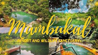 Mambukal Resort & Wildlife Sanctuary 2023 | Aerial Tour