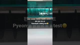 서현테크 편육 절단 테스트(SEOHYEON TECH Pyeonyuk cutting test)