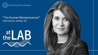 At the Lab: The human Microprocessor