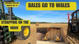 Bales go to Wales 󠁧󠁢󠁷󠁬󠁳󠁿