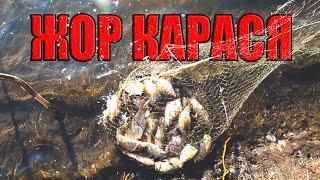 Рыбалка. Ловля карася на донку. Карась на пенопласт с чесноком. Рыбалка в апреле
