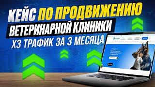 Утройте трафик на свой сайт – Кейс по SEO продвижению ветеринарной клиники