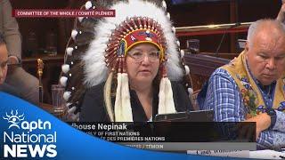 Three Indigenous leaders share their concerns about Bill C-5 at Senate committee | APTN News