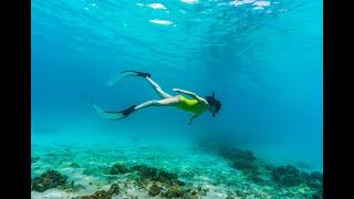 보라카이 호핑투어 프리다이빙 스노클링 스킨다이빙 boracay boracayfreedive boracayfreediving boracaydiving