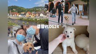 德居VLOG24 | 家里准备有新成员啦 德国小学毕业典礼 欧洲公园 转运包裹 两人一狗德国日常