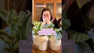 unboxing MYSTERY plants  #houseplants #plantlover #plantmom #plants #mysterybox #tiktokshop