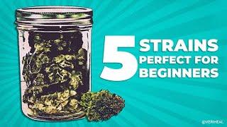 5 Cannabis Strains Perfect for Beginners