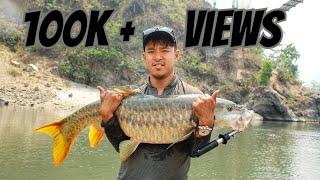 116 cm Golden Mahseer Nepal Sunkoshi, Nepal Fishing 2024 and Camping,Catch and Release. SAVE MAHSEER