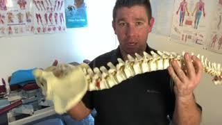 Video for new patient to Coast to Country Chiropractic