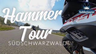 HAMMER TOUR IM SÜDSCHWARZWALD