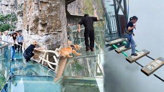 Scariest Cliff-side Glass WalkwayPeople dare to walk, Funny moment, Amazing chinese landscape