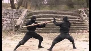 Koga ryu ninjutsu  Empty hands