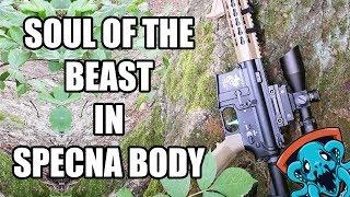 Airsoft Gameplay | Soul of the Beast in Specna body