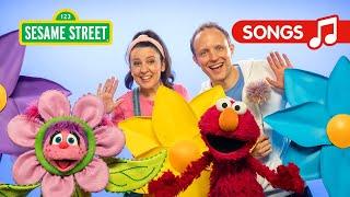 Sesame Street: Let's Play Hide and Seek Song with Ms. Rachel and Elmo!