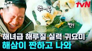 이 귀엽고 똑똑한 강아지가 이름도 '귀요미'래요.. 어쩜 이렇게 완벽한 강아지가 있을 수 있나요... 귀요마 항상 행복하고 건강해야 한다... | 고독한훈련사