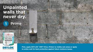 (NEW) DRYLOK® Wet Wall Bonding Primer