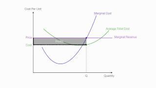 Introduction to Perfect Competition